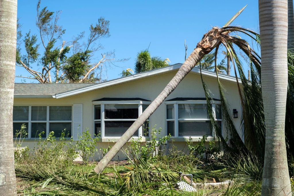 Wind-damaged palm tree leaning against a single-story Florida home, with fronds and debris across the yard